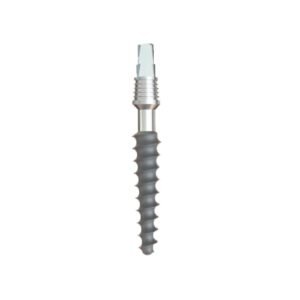 GS Implants Rough 3.2mm