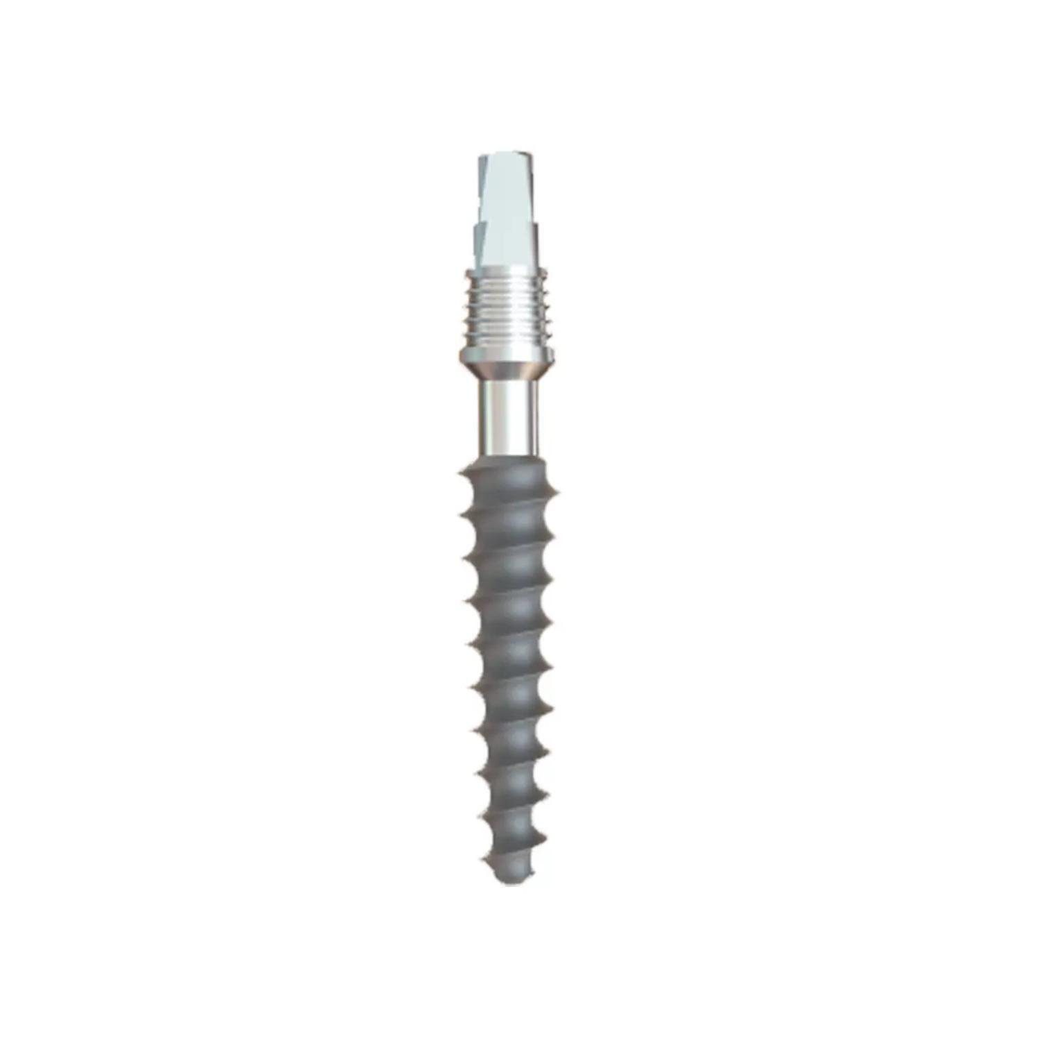 GS Implants Rough 3.2mm